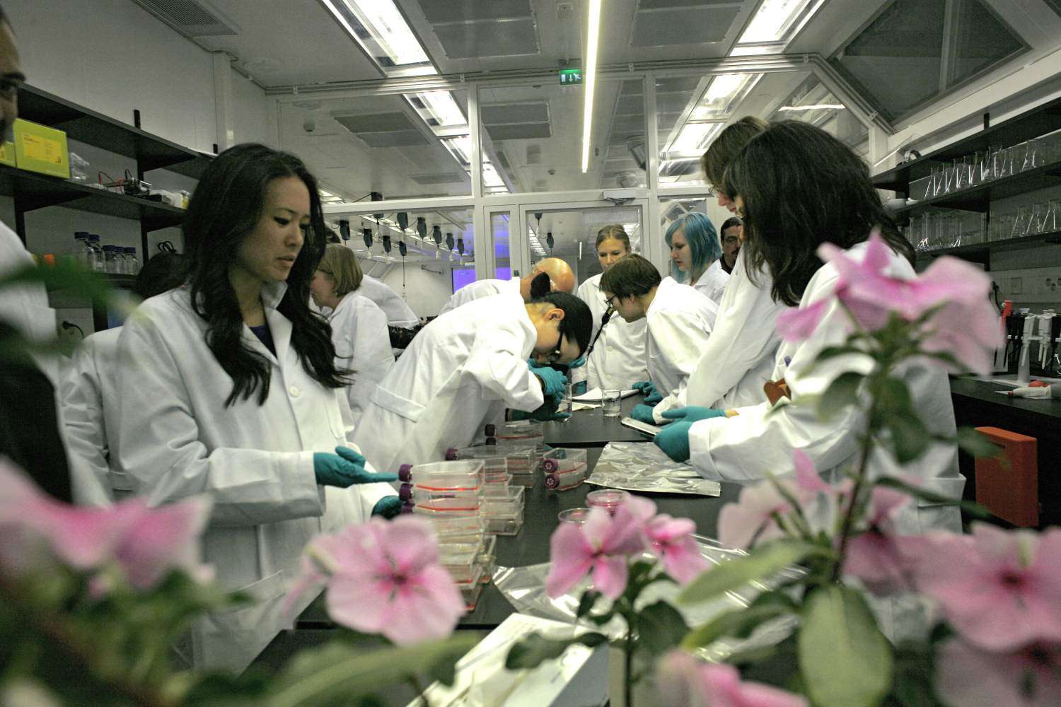 Laboratorio Biofilia